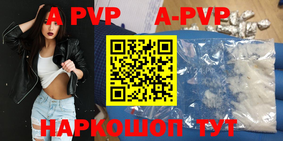 A PVP СК КРИС Шебекино