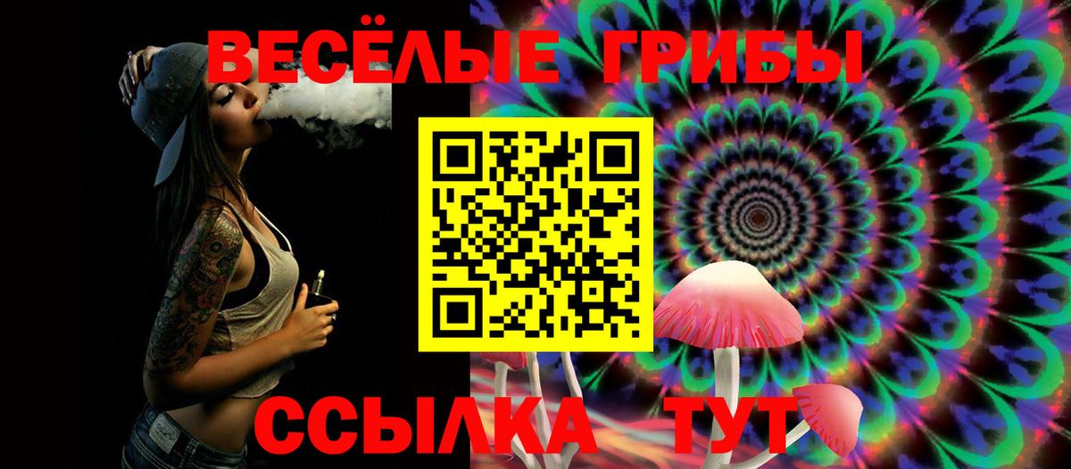 Галлюциногенные грибы Psilocybe  Вход с VPN  Псилоцибиновые грибы GOLDEN TEACHER  Шебекино 